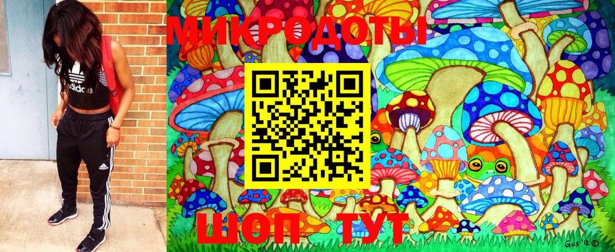 Галлюциногенные грибы Psilocybine cubensis Ревда