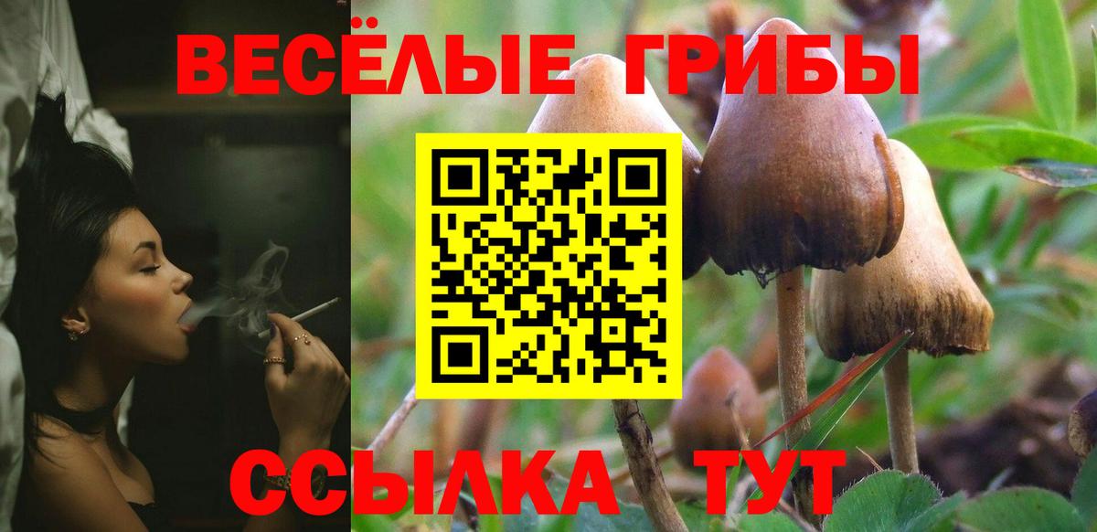 Галлюциногенные грибы MAGIC MUSHROOMS  Вход с VPN  Ревда 